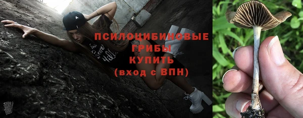 прущая мука Горняк