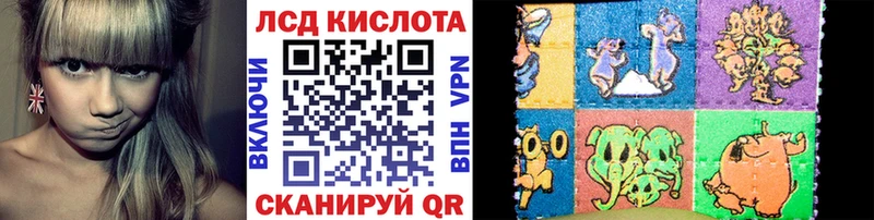 Купить закладки  Оса  Марки 25I-NBOMe 1,8мг 