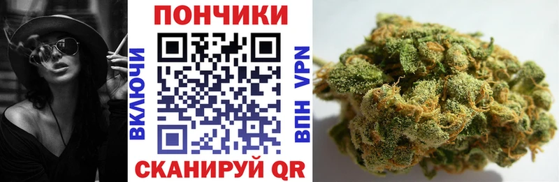 Бошки Шишки сатива  Купить закладки  Оса 